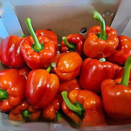 Bell Peppers | Box