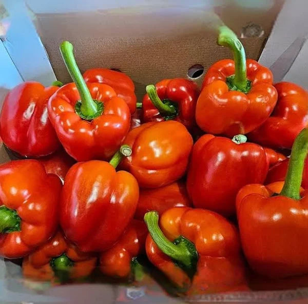 Bell Peppers | Box