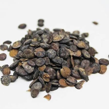 Dried Okpei/Iru | 50g