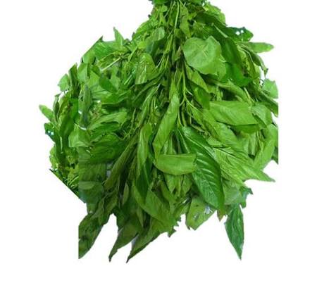 Ewedu Leaves