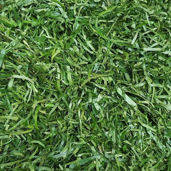Fresh Afang/Okazi Leaves 100g