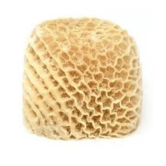 Honeycomb Tripe | per kg
