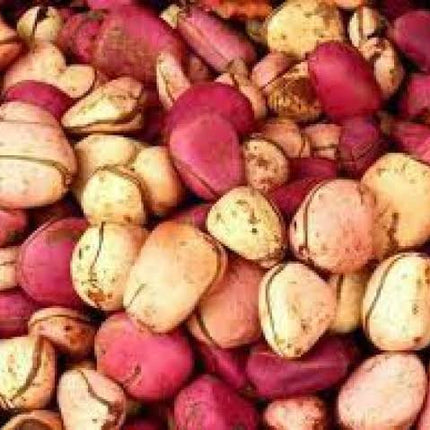 Igbo Kolanut | 2 pieces