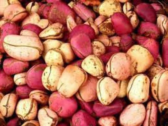 Igbo Kolanut | 2 pieces