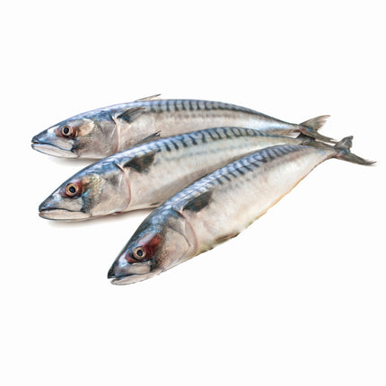 Mackerel | Each