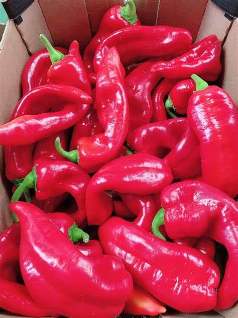 Red Long Pepper | Box