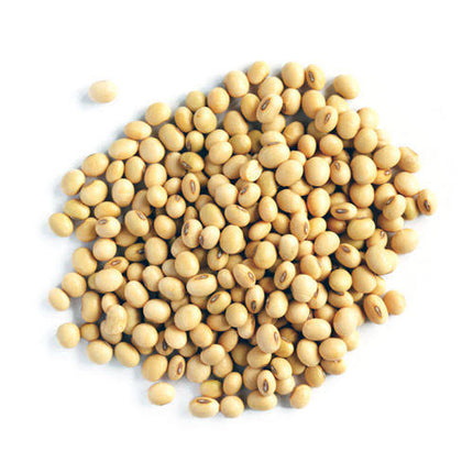 Soya Beans