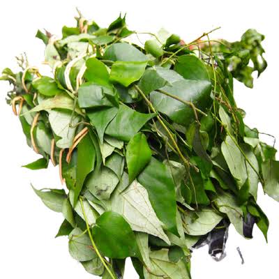Utazi Leaves