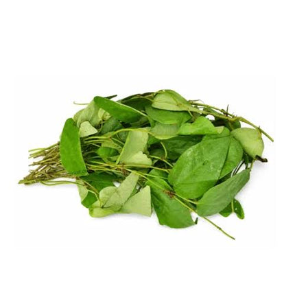 Uziza Leaves