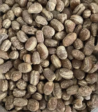 Ehuru Seed | 50g