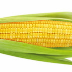 single cob