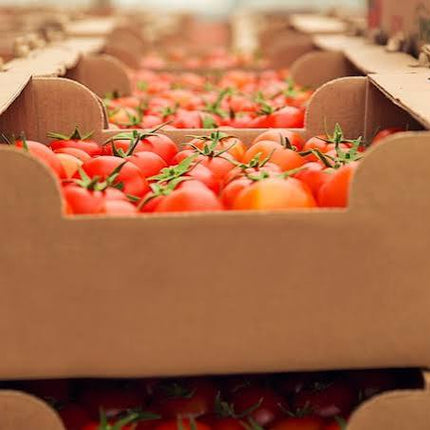 Tomato | Box