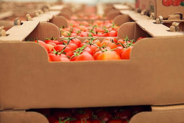 Tomato | Box